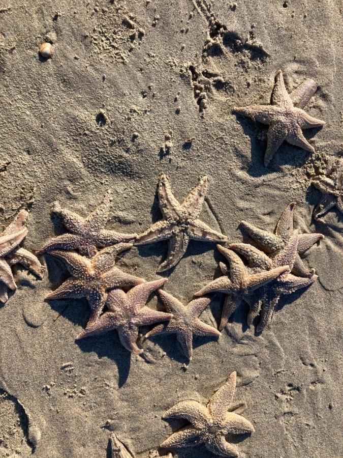 Bij Frits Apartman Zandvoort Kültér fotó